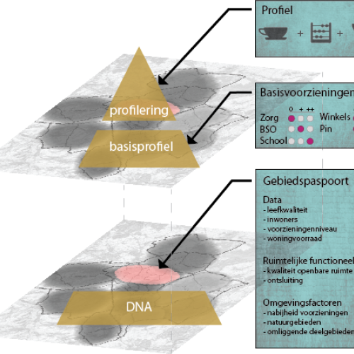 dna: grondslag voor diversiteit