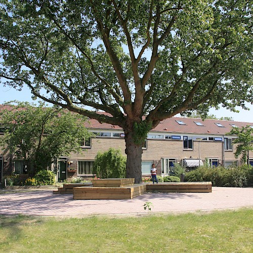 locatie Plevierstraat zuid