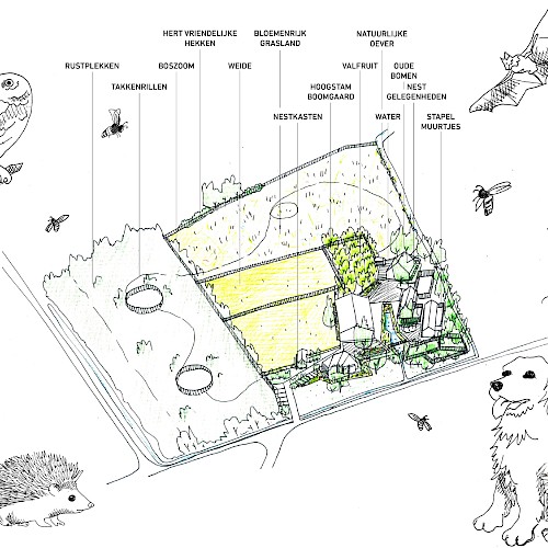 Het natuurinclusieve erf