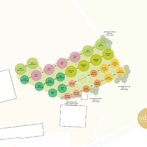 Beplantingsplan boomgaard