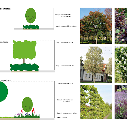 Opzet beplanting De Straatjes